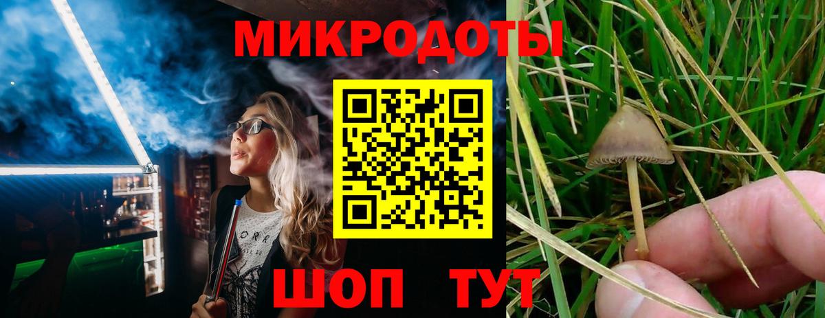 Галлюциногенные грибы Magic Shrooms  Галлюциногенные грибы мухоморы  Кандалакша  Вход с VPN 